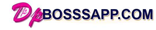 DPBoss APP